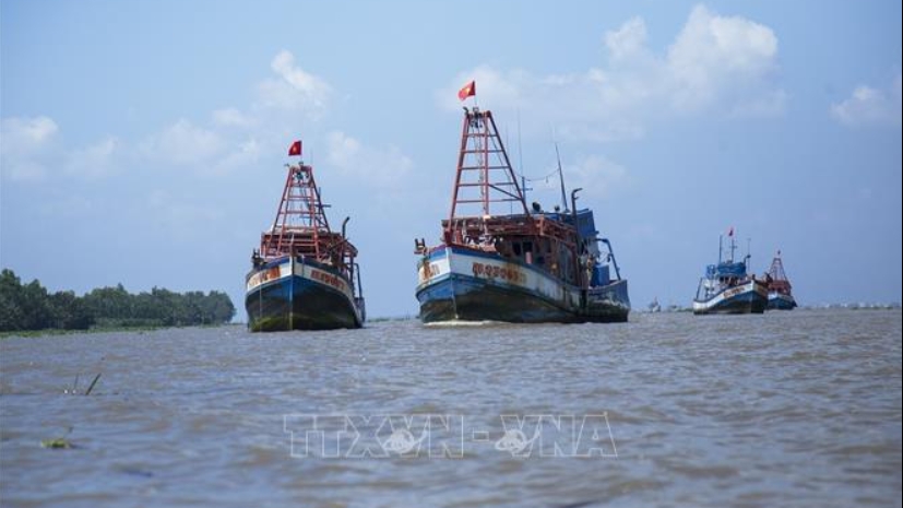 ແຂວງດົ່ງທາບສົ່ງເສີມການໂຄສະນາຕ້ານການຫາປາ IUU ຢ່າງມີປະສິດທິພາບ