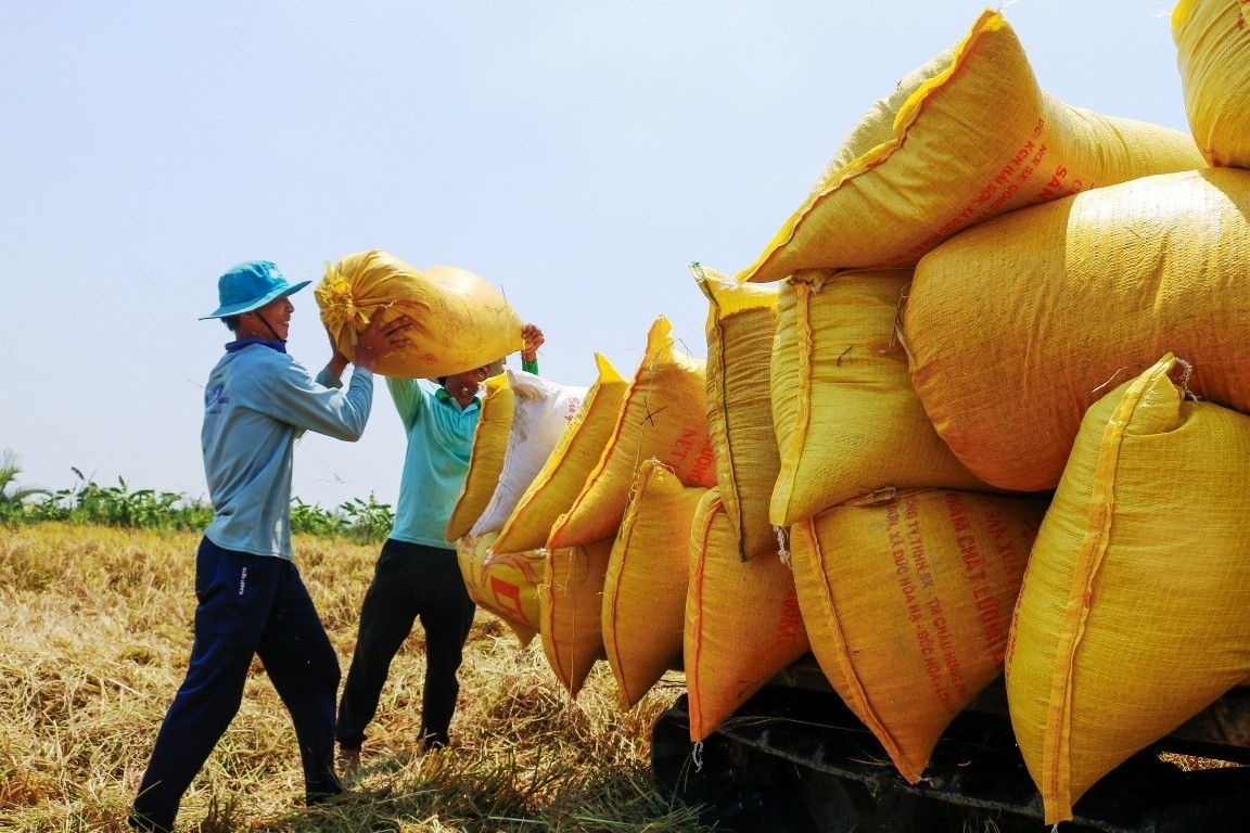 “ເມັດເຂົ້າສານຂອງບ້ານເຮົາ” ບືນຕົວໄປສູ່ໂລກ