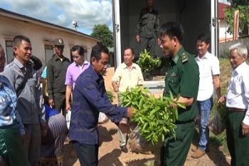 ການມອບຮັບ ກ້າເບ້ຍໄມ້ ໃຫ້ແກ່ບ້ານ ແດນສະຫວັນ, ສປປ ລາວ