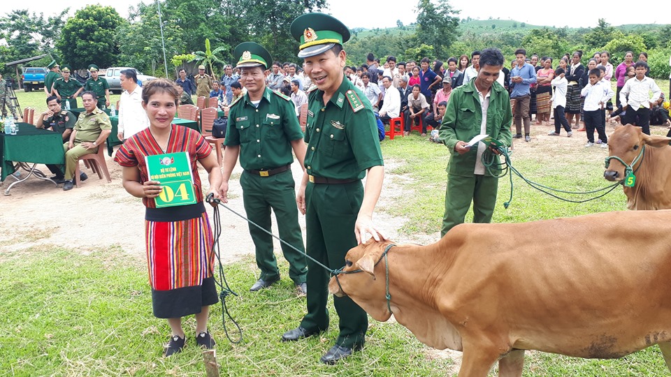 ພິທີມອບຮັບແນວພັນງົວ ໃຫ້ປະຊາຊົນບ້ານແຮກສ່ຽວລຽບຕາມຊາຍແດນ ລາວ-ຫວຽດນາມ ຂອງເມືອງນອງ.
