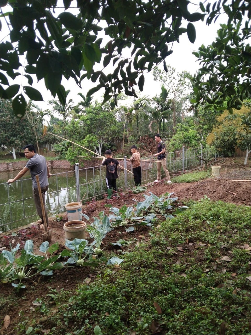 ພໍ່ແມ່ຊາວຫວຽດນາມ ແລະ ລູກຫຼານລາວ ຮ່ວມກັນເຮັດນາ, ຟ້ອນລຳວົງ ພໍ່ແມ່ຊາວຫວຽດນາມ ແລະ ລູກຫຼານລາວ ຮ່ວມກັນເຮັດນາ, ຟ້ອນລຳວົງ