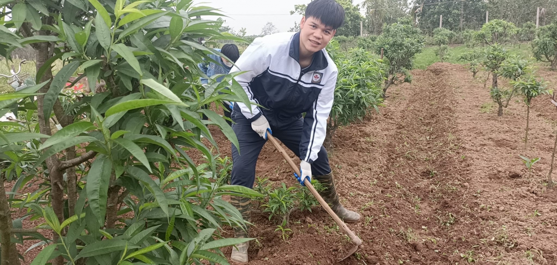 ພໍ່ແມ່ຊາວຫວຽດນາມ ແລະ ລູກຫຼານລາວ ຮ່ວມກັນເຮັດນາ, ຟ້ອນລຳວົງ ພໍ່ແມ່ຊາວຫວຽດນາມ ແລະ ລູກຫຼານລາວ ຮ່ວມກັນເຮັດນາ, ຟ້ອນລຳວົງ