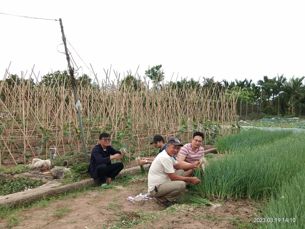ພໍ່ແມ່ຊາວຫວຽດນາມ ແລະ ລູກຫຼານລາວ ຮ່ວມກັນເຮັດນາ, ຟ້ອນລຳວົງ ພໍ່ແມ່ຊາວຫວຽດນາມ ແລະ ລູກຫຼານລາວ ຮ່ວມກັນເຮັດນາ, ຟ້ອນລຳວົງ