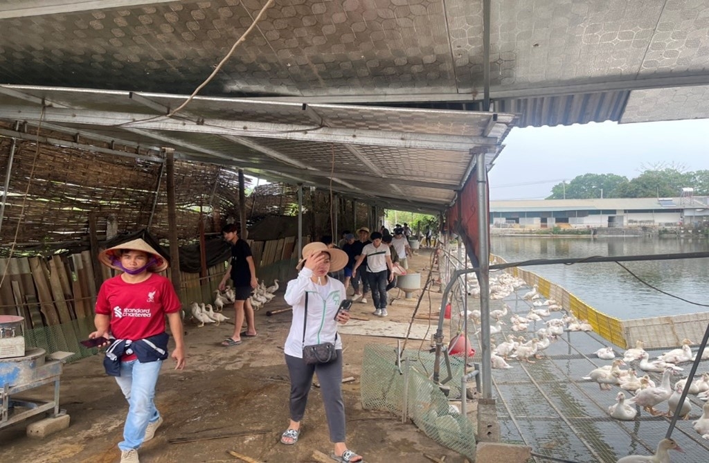 ພໍ່ແມ່ຊາວຫວຽດນາມ ແລະ ລູກຫຼານລາວ ຮ່ວມກັນເຮັດນາ, ຟ້ອນລຳວົງ ພໍ່ແມ່ຊາວຫວຽດນາມ ແລະ ລູກຫຼານລາວ ຮ່ວມກັນເຮັດນາ, ຟ້ອນລຳວົງ