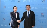 ຫວຽດນາມ ຖືເປັນສຳຄັນບົດບາດຂອງ WTO ໃນການຊຸກຍູ້ລະບົບການຄ້າຫຼາຍຝ່າຍ
