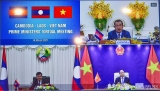 ເຫງະອານຈັດຕັ້ງການໂຄສະນາກ່ຽວກັບປີມິດຕະພາບຫວຽດນາມ - ລາວ, ຫວຽດນາມ - ກຳປູເຈຍ.