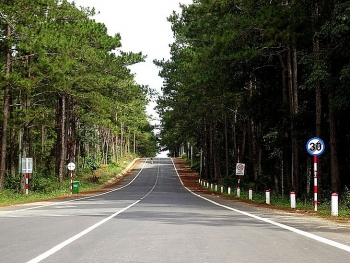 ຄວາມງາມຂອງມັງແດນໃນທ່າມກາງພູຜາປ່າໄມ້ເຂດໄຕງວຽນ