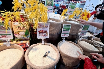 ການສົ່ງອອກເຂົ້າສານຂອງຫວຽດນາມ ໄປຍັງອັງກິດ ໃນປີ 2020 ເພີ່ມຂຶ້ນ 116%