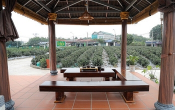ທາຍງວຽນ ສ້າງເຄື່ອງໝາຍການຄ້າຊາ ເຕິນເກືອງ ຕິດພັນກັບການພັດທະນາການທ່ອງທ່ຽວ