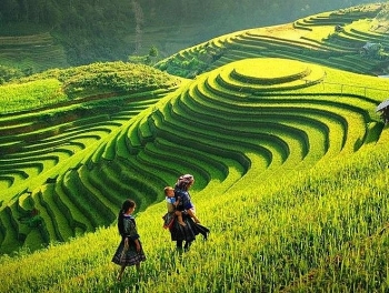 ນາຂັ້ນໄດ ຮວ່າງຊູຟີ່
