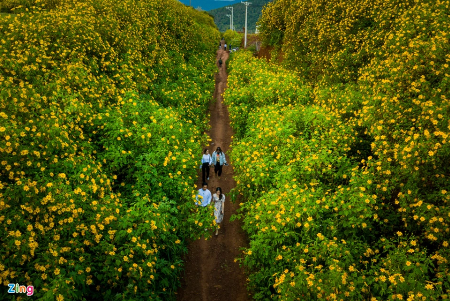 3 ລະດູດອກໄມ້ພິເສດຢູ່ດ່າລາດຍາມທ້າຍປີ