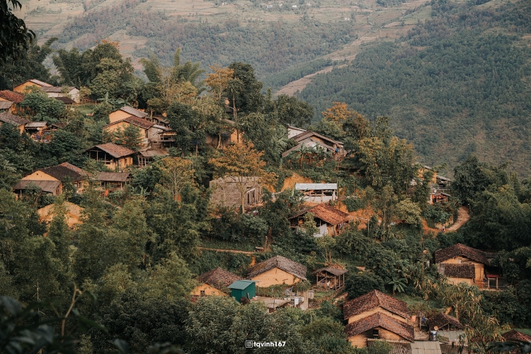 ຫຼົງໄຫຼກັບຮອຍຍິ້ມຮ່າຢາງທ່າມກາງທົ່ງດອກໂຊບະຍາມທ້າຍລະດູໃບໄມ້ຫຼົ່ນ ຫຼົງໄຫຼກັບຮອຍຍິ້ມຮ່າຢາງທ່າມກາງທົ່ງດອກໂຊບະຍາມທ້າຍລະດູໃບໄມ້ຫຼົ່ນ