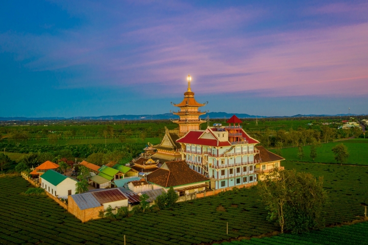 ເສັ້ນທາງປ່າແປກນັບຮ້ອຍປີ ຄືດັ່ງພາບແຕ້ມຢູ່ຢາລາຍ