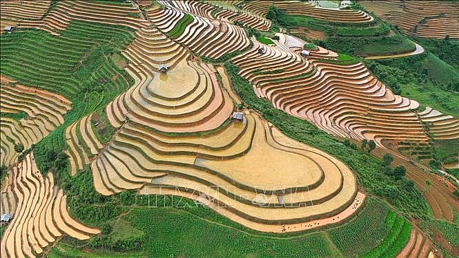 Những thửa ruộng bậc thang lấp lánh nước quyến rũ, huyền bí như được khoác lên mình một tấm áo mới nhiều màu sắc. Ảnh: Tuấn Anh/TTXVN ທົ່ງນາຂັ້ນໄດເປັ່ງປະກາຍດ້ວຍນໍ້າຊັກຊວນຍົວະຍວນໃຈ, ເລິກລັບຄືກັບວ່າໃສ່ເສື້ອທີ່ມີສີສັນໃໝ່.ພາບ: ຕັວນແອງ/ສໍານັກຂ່າວສານຫວຽດນາມ Những thửa ruộng bậc thang lấp lánh nước quyến rũ, huyền bí như được khoác lên mình một tấm áo mới nhiều màu sắc. Ảnh: Tuấn Anh/TTXVN ທົ່ງນາຂັ້ນໄດເປັ່ງປະກາຍດ້ວຍນໍ້າຊັກຊວນຍົວະຍວນໃຈ, ເລິກລັບຄືກັບວ່າໃສ່ເສື້ອທີ່ມີສີສັນໃໝ່.ພາບ: ຕັວນແອງ/ສໍານັກຂ່າວສານຫວຽດນາມ