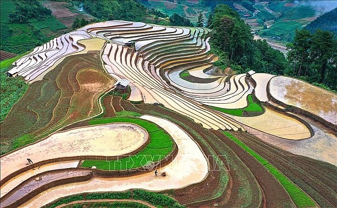 Mùa nước đổ khiến những thửa ruộng bậc thang hiện lên với màu nâu của đất, xen kẽ với màu lúa non tạo nên những cảnh đẹp nên thơ. Ảnh: Tuấn Anh/TTXVN ລະດູນໍ້າຖ້ວມເຮັດໃຫ້ທົ່ງນາຂັ້ນໄດປະກົດເປັນສີນ້ຳຕານຂອງດິນ, ສະຫຼັບກັບສີເຂົ້າອ່ອນເຮັດໃຫ້ເກີດພາບທິວທັດທີ່ງົດງາມ. ພາບ: ຕັວນແອງ/ສໍານັກຂ່າວສານຫວຽດນາມ Mùa nước đổ khiến những thửa ruộng bậc thang hiện lên với màu nâu của đất, xen kẽ với màu lúa non tạo nên những cảnh đẹp nên thơ. Ảnh: Tuấn Anh/TTXVN ລະດູນໍ້າຖ້ວມເຮັດໃຫ້ທົ່ງນາຂັ້ນໄດປະກົດເປັນສີນ້ຳຕານຂອງດິນ, ສະຫຼັບກັບສີເຂົ້າອ່ອນເຮັດໃຫ້ເກີດພາບທິວທັດທີ່ງົດງາມ. ພາບ: ຕັວນແອງ/ສໍານັກຂ່າວສານຫວຽດນາມ