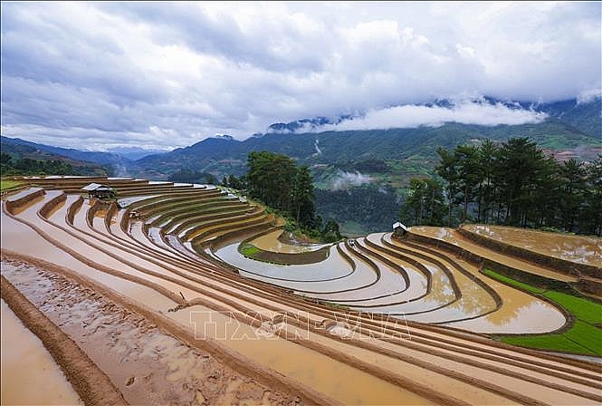 Những thửa ruộng bậc thang mênh mông mùa nước đổ do người Mông nơi đây tạo nên. Ảnh: Tuấn Anh/TTXVN ທົ່ງນາຂັ້ນໄດທີ່ກວ້າງໃຫຍ່ໄພສານໃນລະດູນໍ້າຖ້ວມຖືກສ້າງຂຶ້ນໂດຍຊາວເຜົ່າມົ້ງຢູ່ທີ່ນີ້. ພາບ: ຕັວນແອງ/ສໍານັກຂ່າວສານຫວຽດນາມ Những thửa ruộng bậc thang mênh mông mùa nước đổ do người Mông nơi đây tạo nên. Ảnh: Tuấn Anh/TTXVN ທົ່ງນາຂັ້ນໄດທີ່ກວ້າງໃຫຍ່ໄພສານໃນລະດູນໍ້າຖ້ວມຖືກສ້າງຂຶ້ນໂດຍຊາວເຜົ່າມົ້ງຢູ່ທີ່ນີ້. ພາບ: ຕັວນແອງ/ສໍານັກຂ່າວສານຫວຽດນາມ