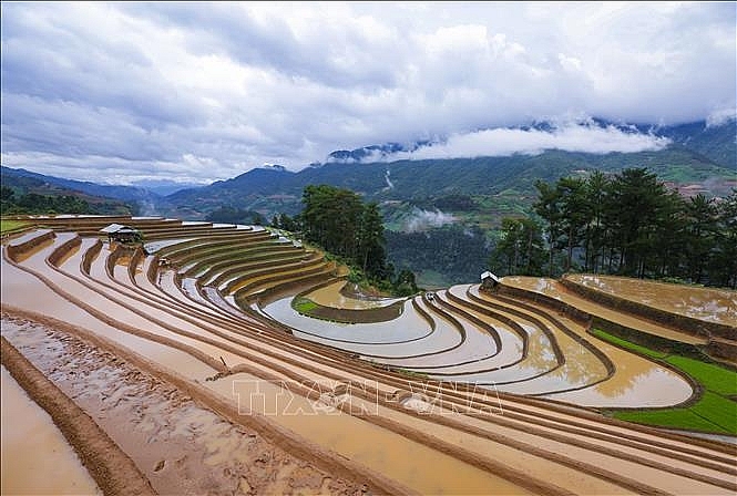 Những thửa ruộng bậc thang mênh mông mùa nước đổ do người Mông nơi đây tạo nên. Ảnh: Tuấn Anh/TTXVN ທົ່ງນາຂັ້ນໄດທີ່ກວ້າງໃຫຍ່ໄພສານໃນລະດູນໍ້າຖ້ວມຖືກສ້າງຂຶ້ນໂດຍຊາວເຜົ່າມົ້ງຢູ່ທີ່ນີ້. ພາບ: ຕັວນແອງ/ສໍານັກຂ່າວສານຫວຽດນາມ