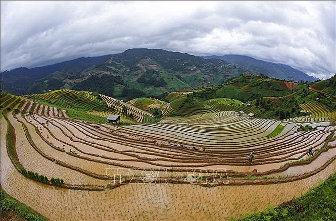 Ruộng bậc thang là một hình thức canh tác độc đáo của đồng bào vùng cao. Ảnh: Tuấn Anh/TTXVN ທົ່ງນາຂັ້ນໄດເປັນຮູບແບບການເຮັດໄຮ່ທີ່ເປັນເອກະລັກຂອງປະຊາຊົນເຂດເນີນສູງ. ພາບ: ຕັວນແອງ/ສໍານັກຂ່າວສານຫວຽດນາມ