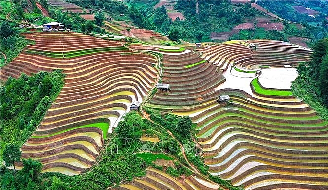 Để tạo nên những thửa ruộng bậc thang thích hợp cho gieo trồng, người dân phải chọn những vùng đất không có đá trên triền đồi, sườn núi có diện tích khá rộng, độ dốc vừa phải và vị trí thuận lợi để đón nước mưa, nước suối. Ảnh: Tuấn Anh/TTXVN ເພື່ອສ້າງເປັນທົ່ງນາຂັ້ນໄດໃຫ້ເໝາະສົມກັບການປູກຝັງ, ປະຊາຊົນຕ້ອງເລືອກດິນທີ່ບໍ່ມີຫີນຢູ່ຕາມເນີນພູ ແລະ ເປີ້ນພູທີ່ມີພື້ນທີ່ກວ້າງພໍສົມຄວນ, ມີຄວາມຄ້ອຍປານກາງ ແລະ ສະຖານທີ່ເໝາະສົມເພື່ອຮັບນໍ້າຝົນ ແລະ ນໍ້າຫ້ວຍ. ພາບ: ຕັວນແອງ/ສໍານັກຂ່າວສານຫວຽດນາມ