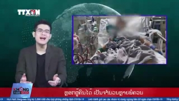 NNo Fake News