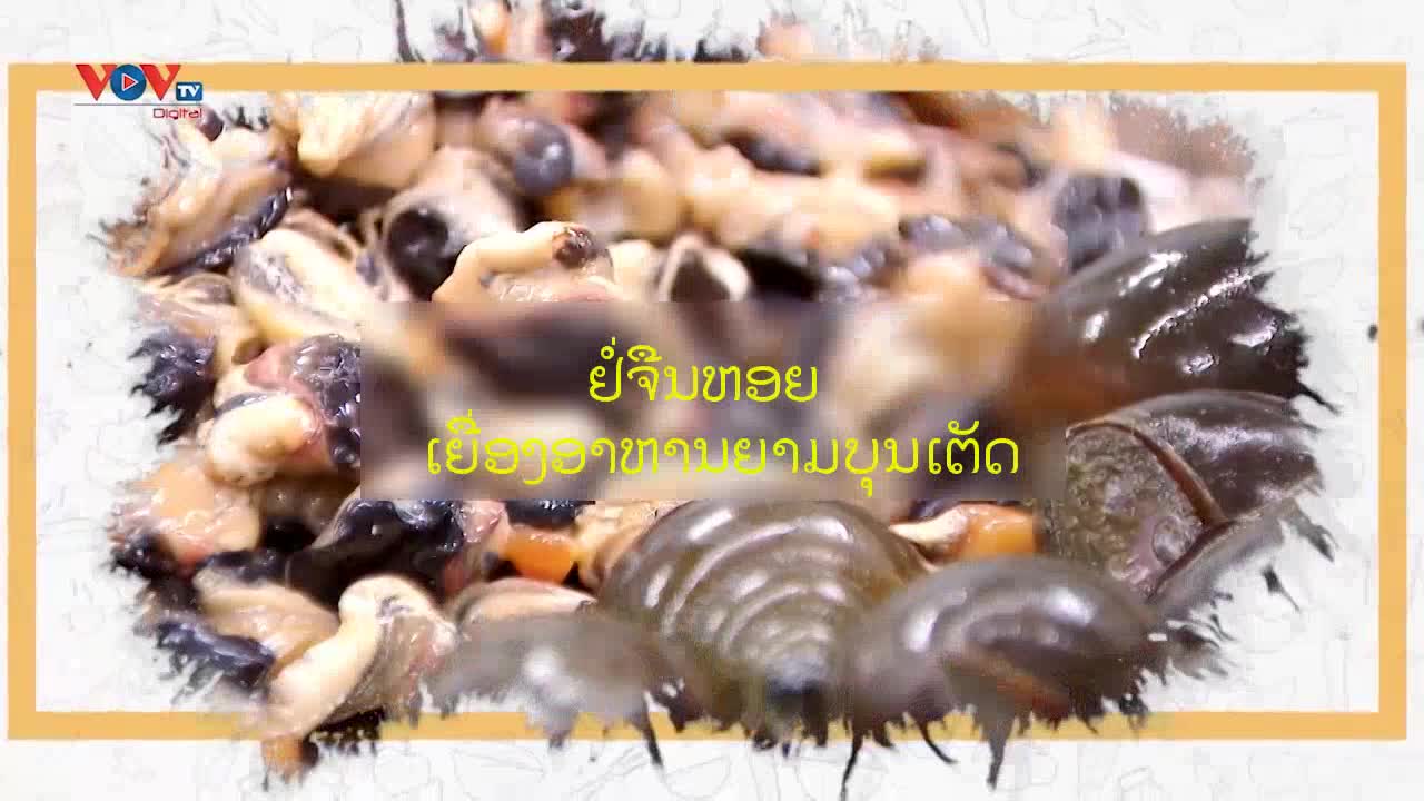ຢໍ່ຈືນຫອຍ - ເຍື່ອງອາຫານຍາມບຸນເຕັດ